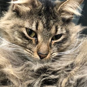 Meet your Posher, Connor